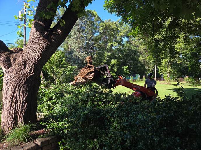 Tree care crew on the job