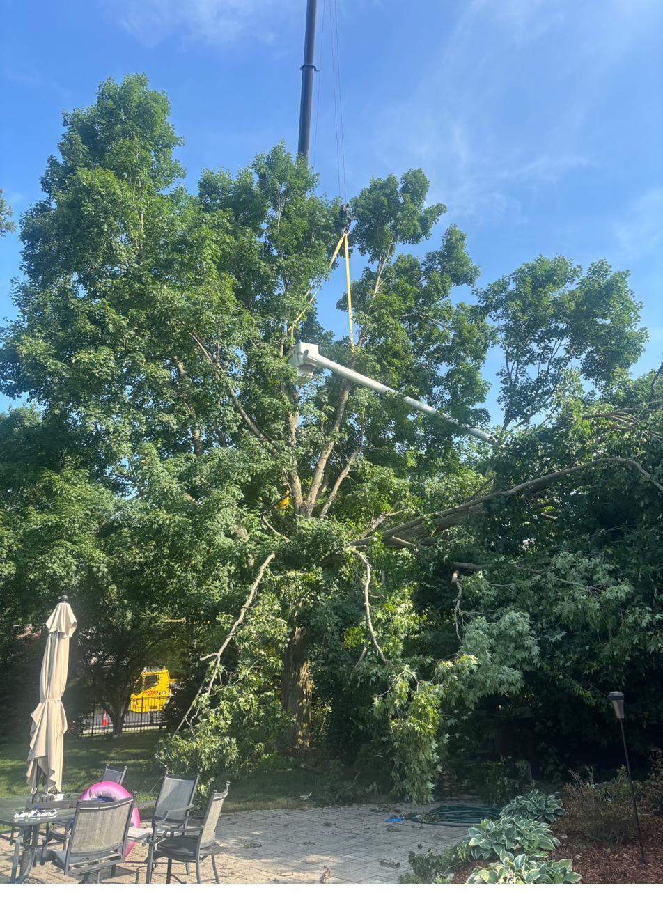 Crane-assisted tree removal near a backyard patio